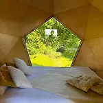 T'glamp Bee House * Rovte