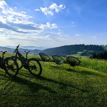 Luksusowy namiot T'glamp Bee House *