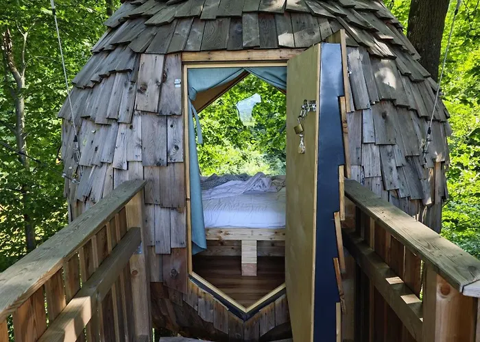 Luxuszelt T'glamp Bee House Rovte